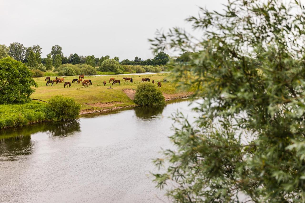 Thoeles*** Am Allerpark Verden Verden an der Aller Dış mekan fotoğraf